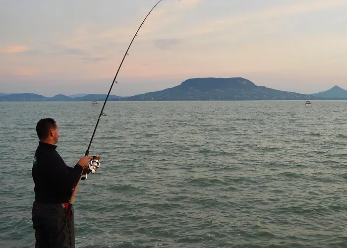 Camping&apartman * Fonyód